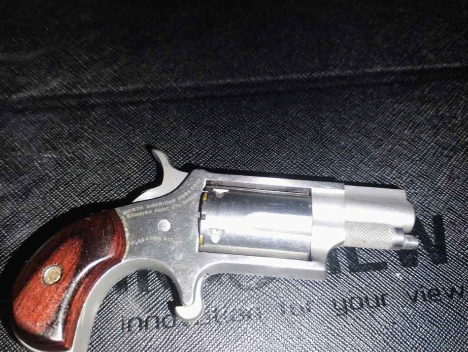 NAA Mini .22lr