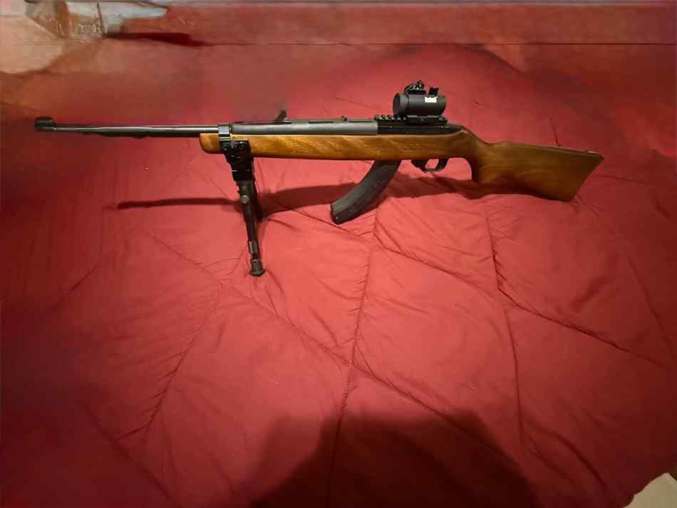Ruger 10/22